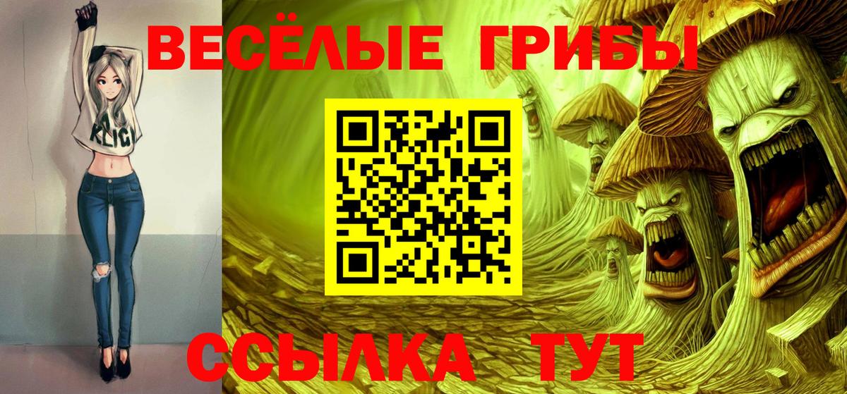 Псилоцибиновые грибы Cubensis Ульяновск