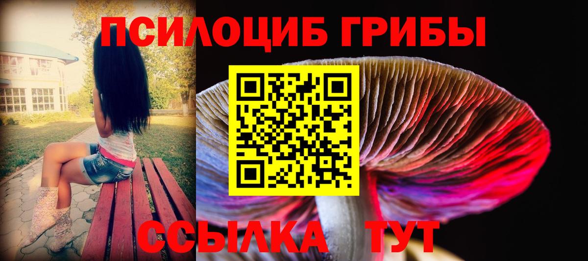 Ульяновск  Галлюциногенные грибы прущие грибы  Вход с VPN  Псилоцибиновые грибы Cubensis 